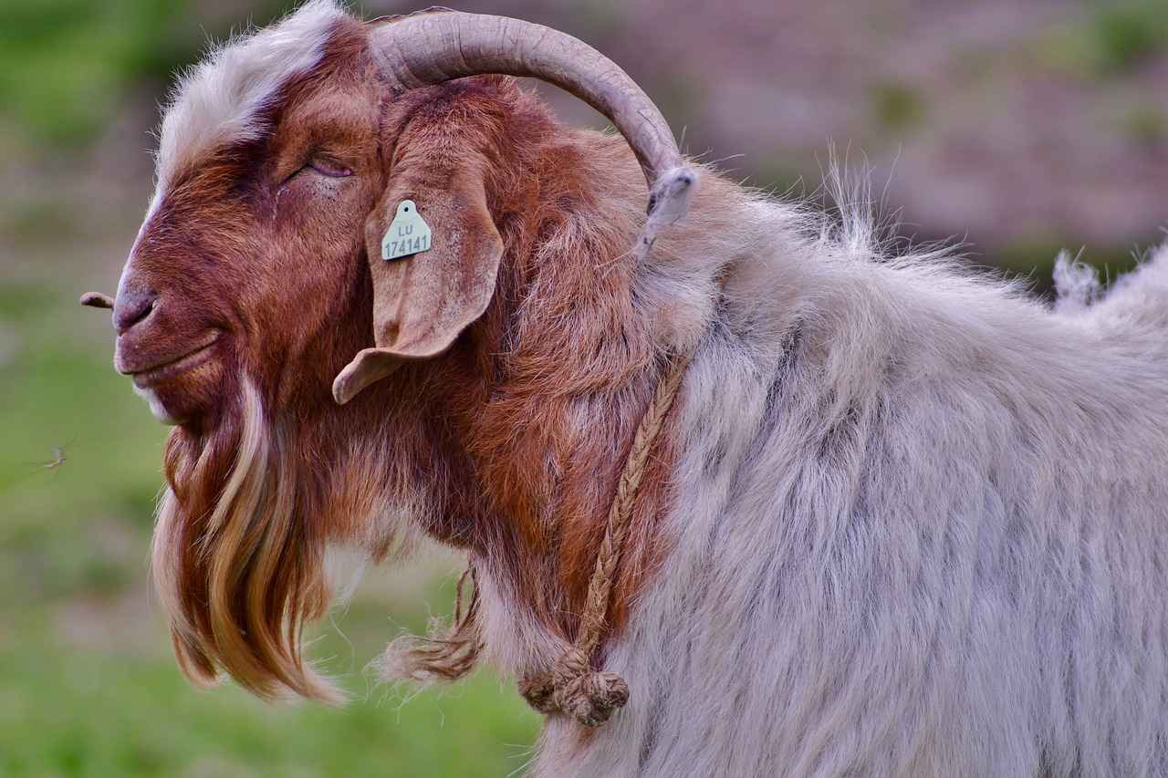 Günlük Kıyafetlerle Hangi Çantalar Uyumlu?