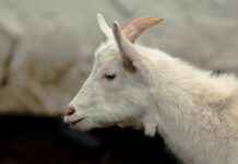 En Şık ve Kullanışlı Kadın Çanta Modelleri En Şık ve Kullanışlı Kadın Çanta Modelleri