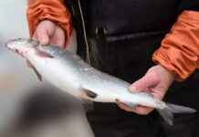 Gece Dışarı Çıkarken Kullanılabilecek En Şık Çantalar Gece Dışarı Çıkarken Kullanılabilecek En Şık Çantalar