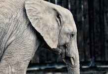 İkinci El Çanta Alırken ve Satarken Nelere Dikkat Edilmeli? İkinci El Çanta Alırken ve Satarken Nelere Dikkat Edilmeli?