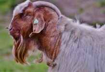 Kaliteli Bir Çantanın Özellikleri Nelerdir? Kaliteli Bir Çantanın Özellikleri Nelerdir?