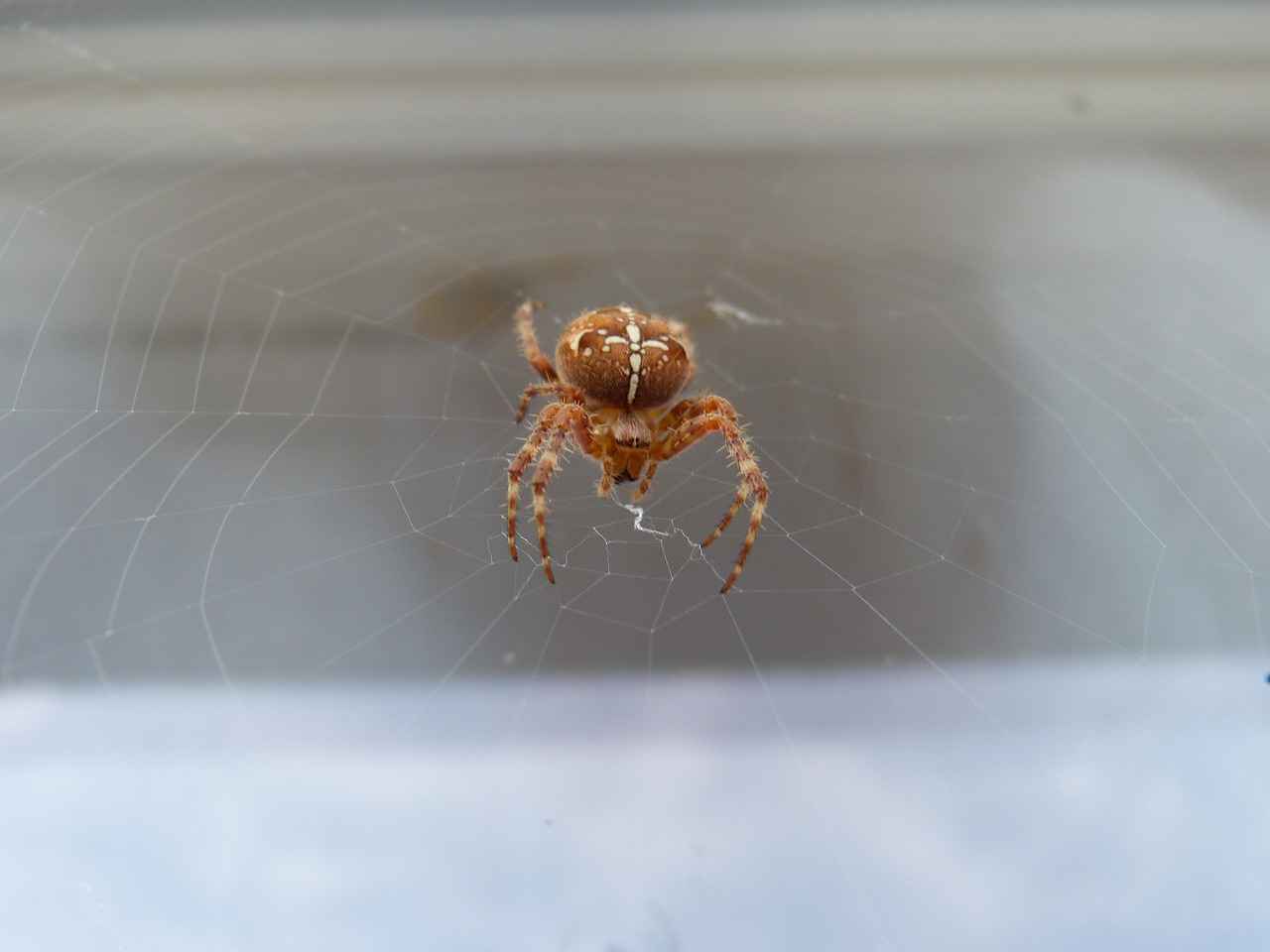 Kanvas Çantalar: Dayanıklılığı ve Kullanımı 1 Kanvas Çanta Nedir?