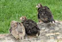 Kendi Çantanızı Kendiniz Tasarlayın! Kendi Çantanızı Kendiniz Tasarlayın!
