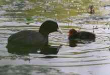 Kış Mevsimine Uygun Çanta Seçimi Kış Mevsimine Uygun Çanta Seçimi