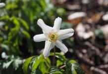 Lüks Çanta Markaları ve En Popüler Modelleri Lüks Çanta Markaları ve En Popüler Modelleri