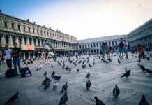 Marka Çantalar: Yatırım Yapmaya Değer mi? Marka Çantalar: Yatırım Yapmaya Değer mi?