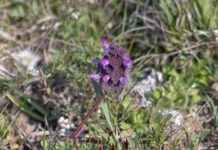 Mevsimlere Göre Çanta Seçimi Mevsimlere Göre Çanta Seçimi