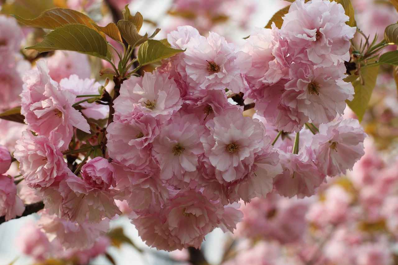 Mikro Çanta Trendini Nasıl Yakalamalıyız?