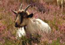 Ofis Kombinlerine Uygun Çanta Modelleri Ofis Kombinlerine Uygun Çanta Modelleri