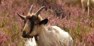 Ofis Kombinlerine Uygun Çanta Modelleri Ofis Kombinlerine Uygun Çanta Modelleri