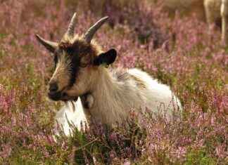 Ofis Kombinlerine Uygun Çanta Modelleri Ofis Kombinlerine Uygun Çanta Modelleri