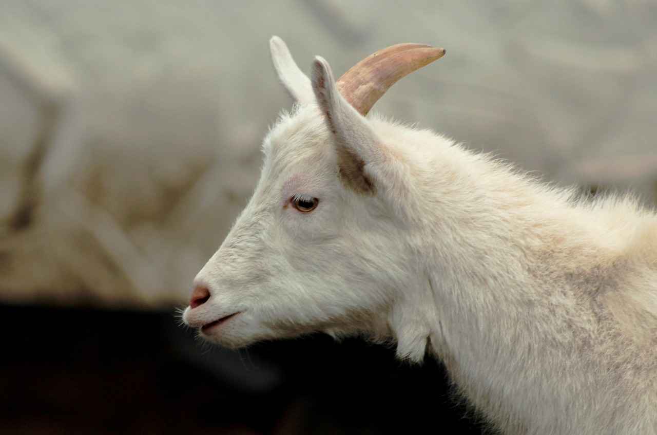 Ofis Kombinlerine Uygun Çanta Modelleri 2 En Popüler Ofis Çanta Modelleri