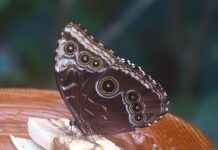 Özel Tasarım Çantalar: Kişiselleştirilmiş Moda Özel Tasarım Çantalar: Kişiselleştirilmiş Moda