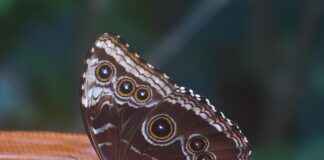 Özel Tasarım Çantalar: Kişiselleştirilmiş Moda Özel Tasarım Çantalar: Kişiselleştirilmiş Moda