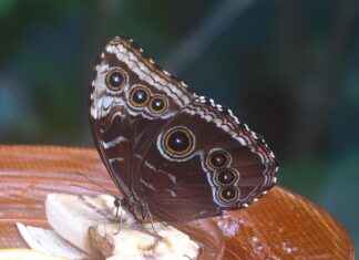 Özel Tasarım Çantalar: Kişiselleştirilmiş Moda Özel Tasarım Çantalar: Kişiselleştirilmiş Moda