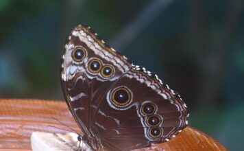 Özel Tasarım Çantalar: Kişiselleştirilmiş Moda Özel Tasarım Çantalar: Kişiselleştirilmiş Moda