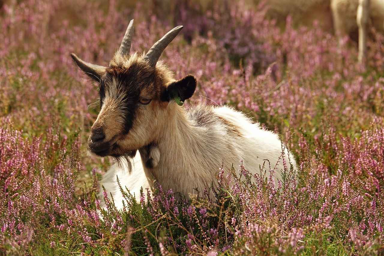 12. Sonuç ve Öneriler