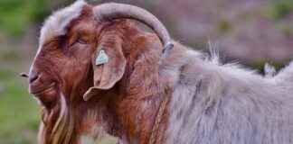 Şık ve Kullanışlı Kadın Cüzdan Modelleri Şık ve Kullanışlı Kadın Cüzdan Modelleri