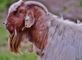 Şık ve Kullanışlı Kadın Cüzdan Modelleri Şık ve Kullanışlı Kadın Cüzdan Modelleri