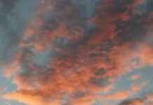 Sırt Ağrısını Önlemek İçin Doğru Çanta Seçimi Sırt Ağrısını Önlemek İçin Doğru Çanta Seçimi