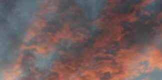 Sırt Ağrısını Önlemek İçin Doğru Çanta Seçimi Sırt Ağrısını Önlemek İçin Doğru Çanta Seçimi