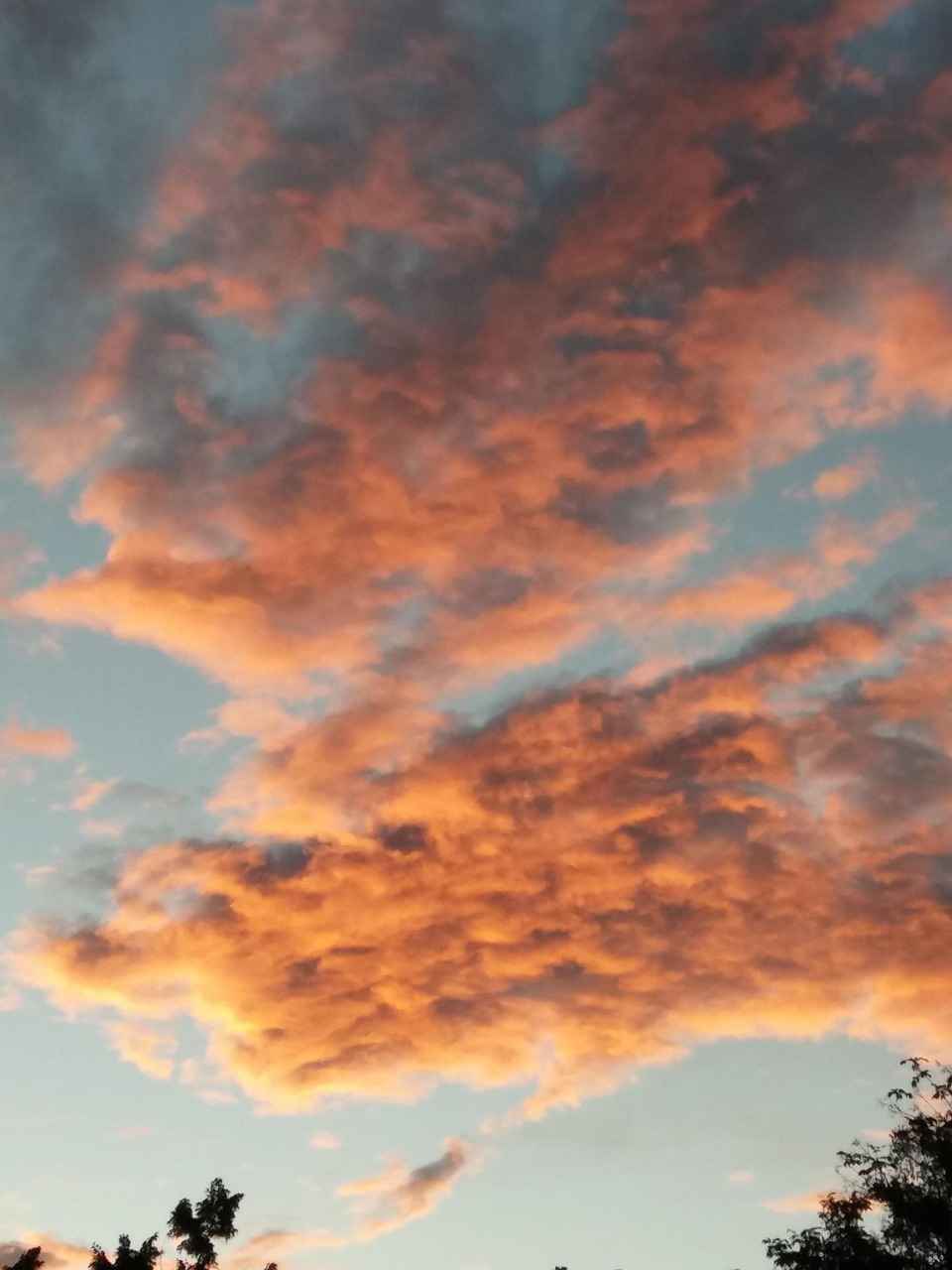 Çanta Seçiminin Önemi