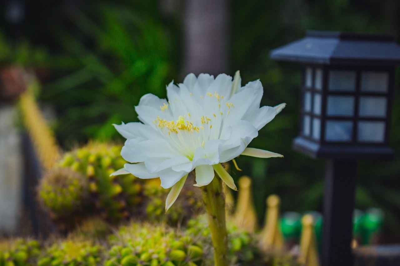 Çanta Tasarımının Etkisi
