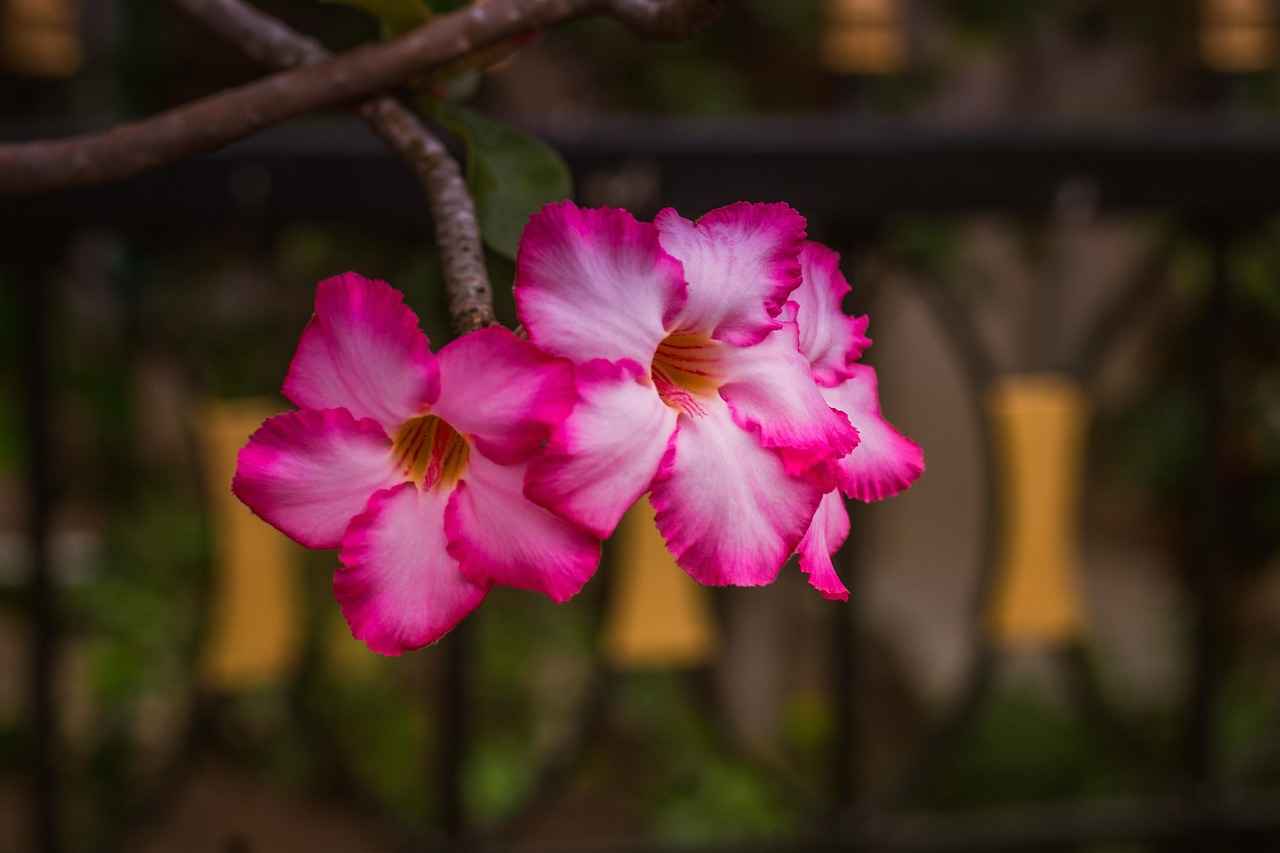 Sonuç: Sırt Ağrısını Önlemek İçin Doğru Çanta Seçimi