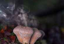 Spor Çantası Seçerken Nelere Dikkat Etmeli? Spor Çantası Seçerken Nelere Dikkat Etmeli?