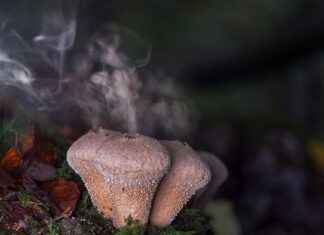 Spor Çantası Seçerken Nelere Dikkat Etmeli? Spor Çantası Seçerken Nelere Dikkat Etmeli?