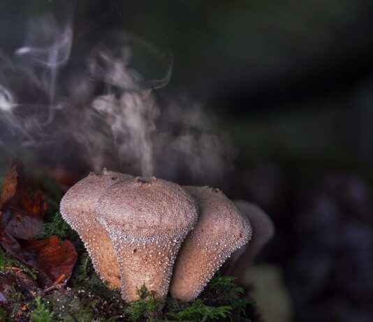 Spor Çantası Seçerken Nelere Dikkat Etmeli? Spor Çantası Seçerken Nelere Dikkat Etmeli?