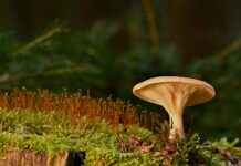 Spor Salonuna Giderken Kullanılacak En İyi Çantalar Spor Salonuna Giderken Kullanılacak En İyi Çantalar