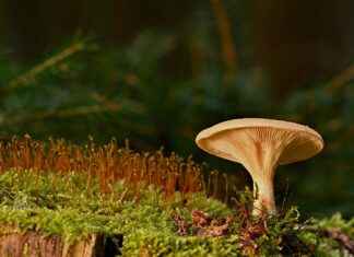 Spor Salonuna Giderken Kullanılacak En İyi Çantalar Spor Salonuna Giderken Kullanılacak En İyi Çantalar