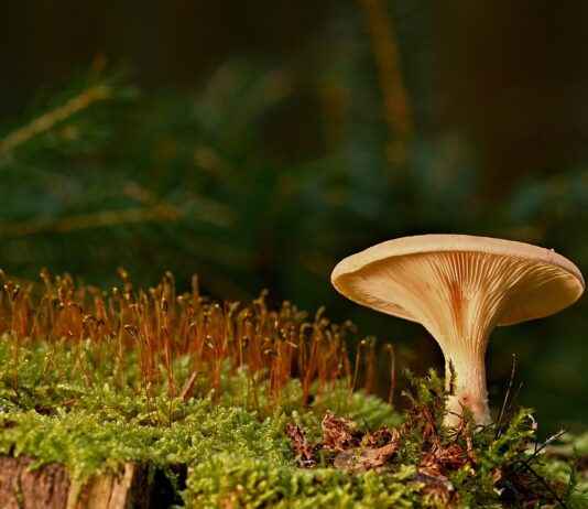 Spor Salonuna Giderken Kullanılacak En İyi Çantalar Spor Salonuna Giderken Kullanılacak En İyi Çantalar