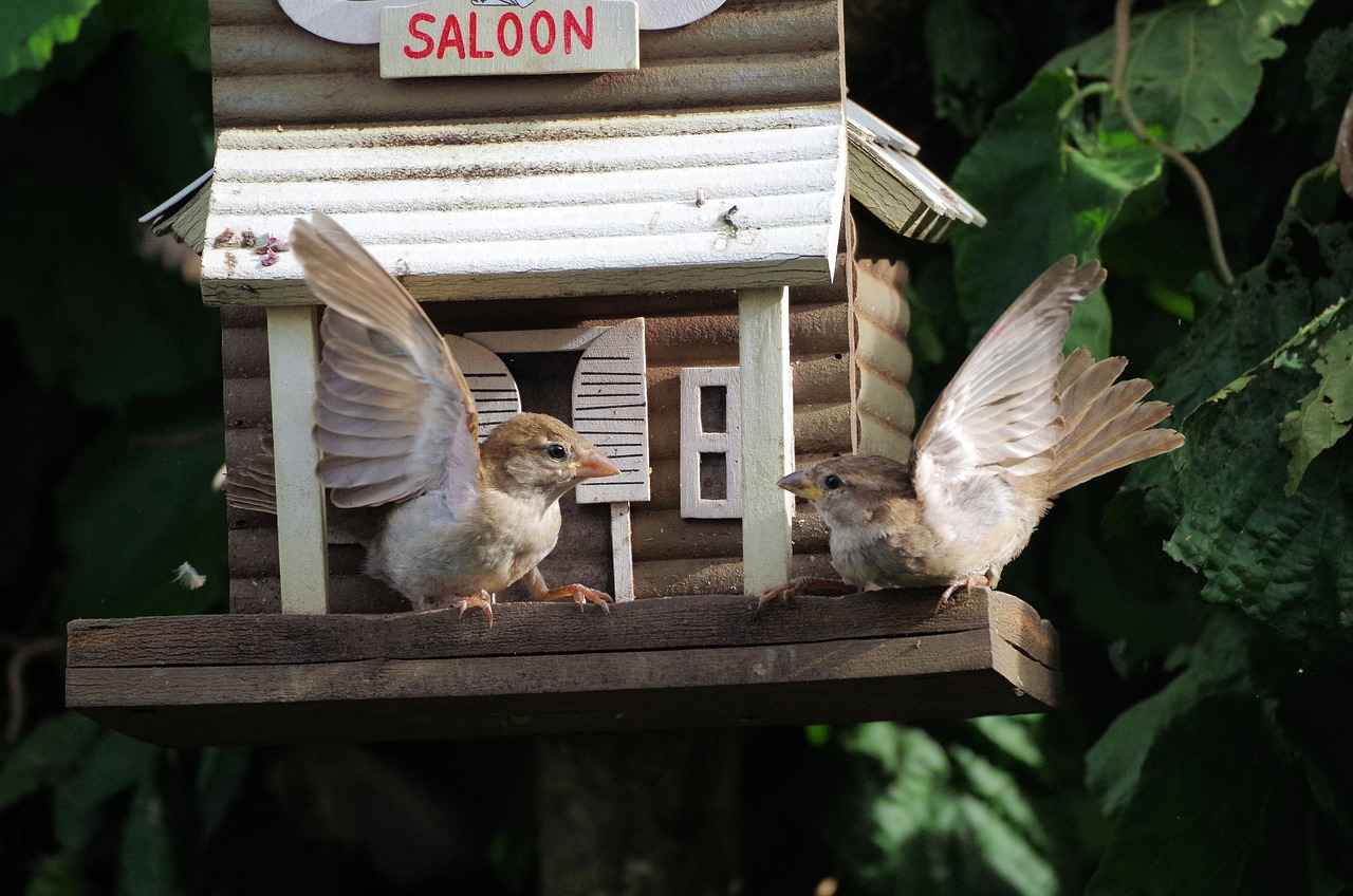 Spor Çantası Seçerken Dikkat Edilmesi Gerekenler