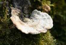 Spor Yaparken Kullanılabilecek En İyi Çantalar Spor Yaparken Kullanılabilecek En İyi Çantalar