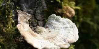 Spor Yaparken Kullanılabilecek En İyi Çantalar Spor Yaparken Kullanılabilecek En İyi Çantalar