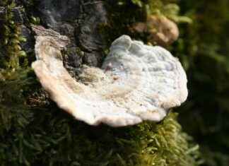 Spor Yaparken Kullanılabilecek En İyi Çantalar Spor Yaparken Kullanılabilecek En İyi Çantalar