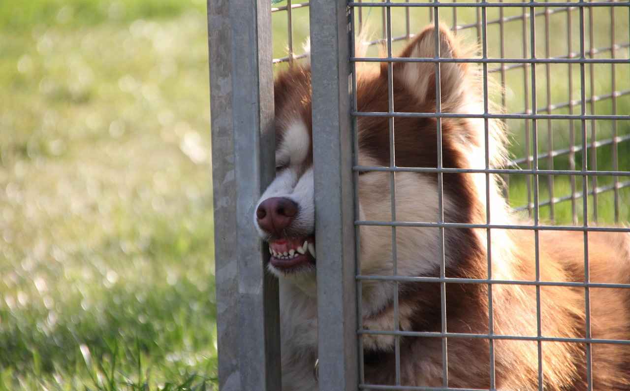 Spor Çantası Nedir?