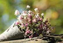 Tote Çanta mı, Sırt Çantası mı? Hangisi Daha Kullanışlı? Tote Çanta mı, Sırt Çantası mı? Hangisi Daha Kullanışlı?