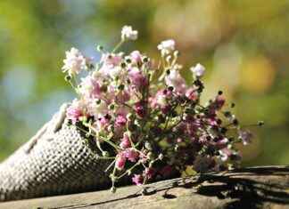 Tote Çanta mı, Sırt Çantası mı? Hangisi Daha Kullanışlı? Tote Çanta mı, Sırt Çantası mı? Hangisi Daha Kullanışlı?
