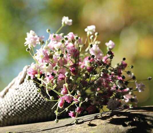 Tote Çanta mı, Sırt Çantası mı? Hangisi Daha Kullanışlı? Tote Çanta mı, Sırt Çantası mı? Hangisi Daha Kullanışlı?