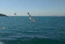 Trend Alarmı: Büyük Çanta mı Küçük Çanta mı? Trend Alarmı: Büyük Çanta mı Küçük Çanta mı?