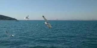 Trend Alarmı: Büyük Çanta mı Küçük Çanta mı? Trend Alarmı: Büyük Çanta mı Küçük Çanta mı?