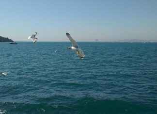 Trend Alarmı: Büyük Çanta mı Küçük Çanta mı? Trend Alarmı: Büyük Çanta mı Küçük Çanta mı?