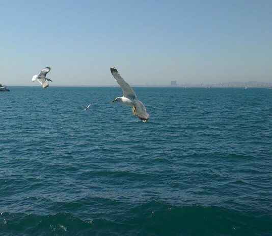 Trend Alarmı: Büyük Çanta mı Küçük Çanta mı? Trend Alarmı: Büyük Çanta mı Küçük Çanta mı?