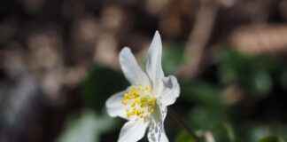 Ünlülerin Tercih Ettiği Çanta Markaları Ünlülerin Tercih Ettiği Çanta Markaları