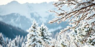 Kışın Doğal Güzellikleriyle Buluşun: Rüzgârla Dolu Maceralara Hazır Mıyız? Embark on Winter's Natural Beauty: Are You Ready for Wind-Filled Adventures?