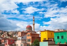 Türkiye’de Doğal ve Kültürel Rengin Bulutları: Adana’nın Renkli Dünyası Natural and Cultural Color Clouds in Turkey: The Colorful World of Adana