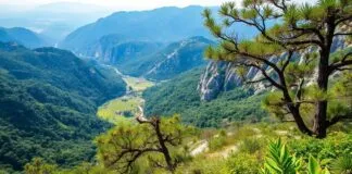 Türkiye’de Keşfedilecek 5 Harika Doğa Yolu 5 Wonderful Nature Trails to Discover in Turkey